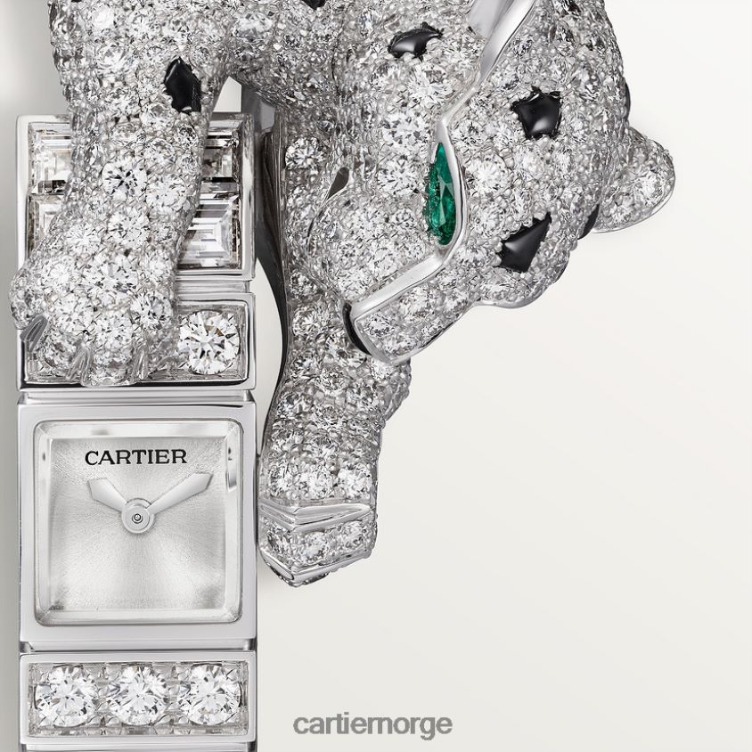 smykker Cartier panthere smykkeklokker stilig F4466N1010