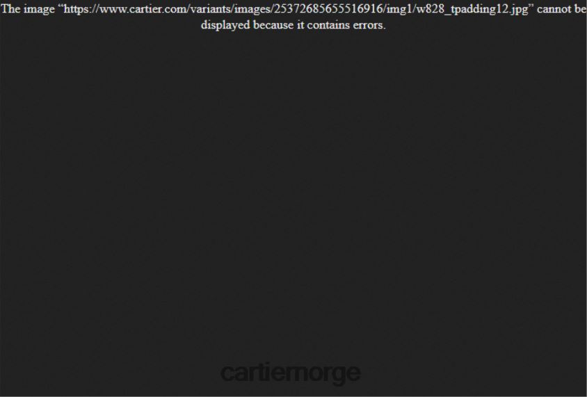 tilbehør Cartier la pantere klokke stilig F4466N988