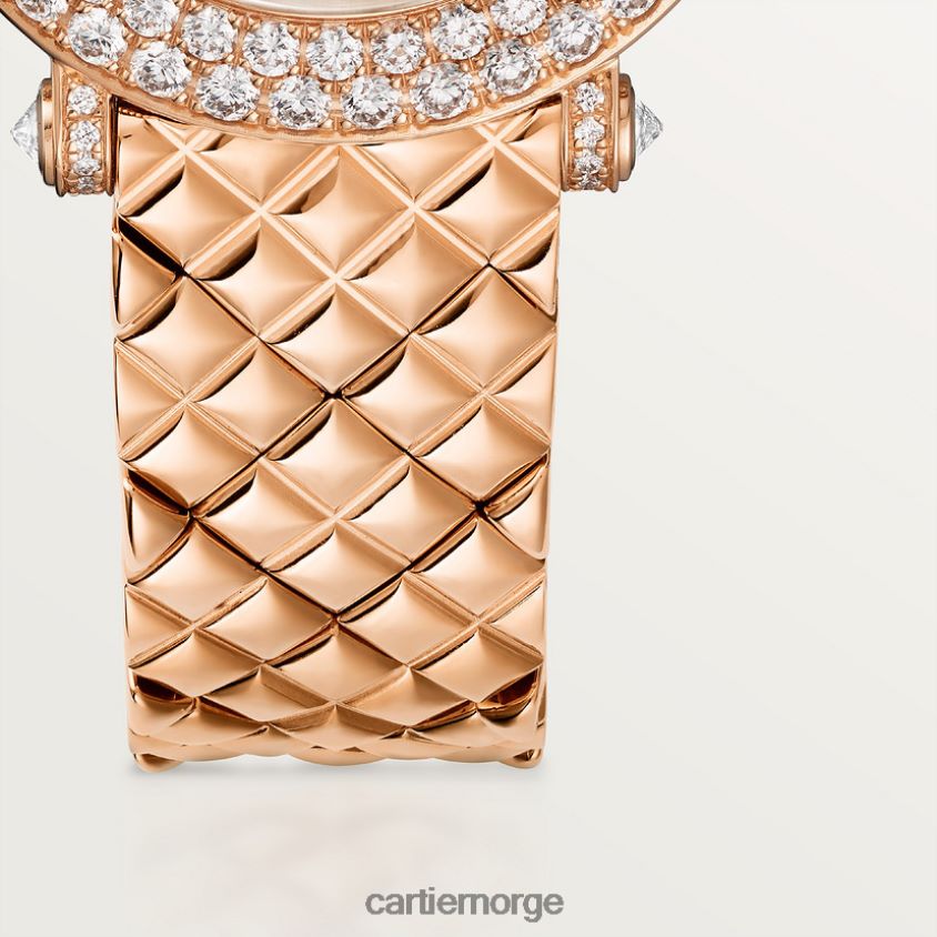 tilbehør Cartier la panthere de carier klokke stilig F4466N987