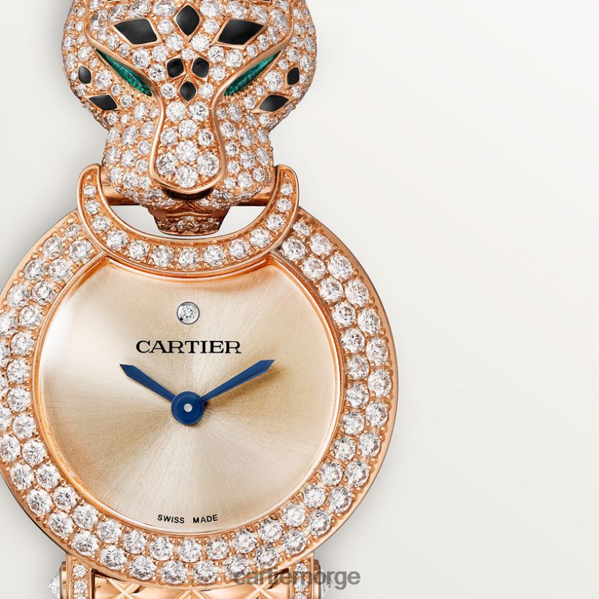 tilbehør Cartier la panthere de carier klokke stilig F4466N987