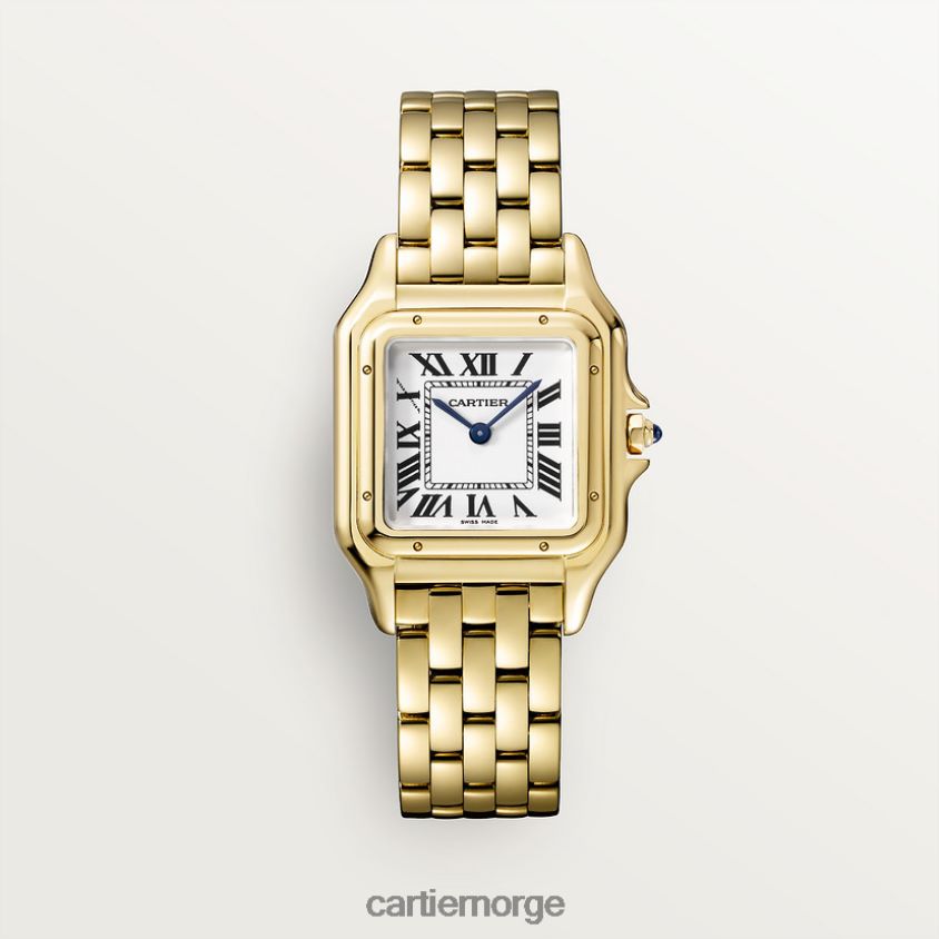 tilbehør Cartier mote panterklokke stilig F4466N831