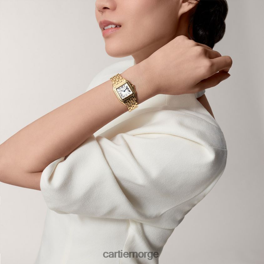 tilbehør Cartier mote panterklokke stilig F4466N831