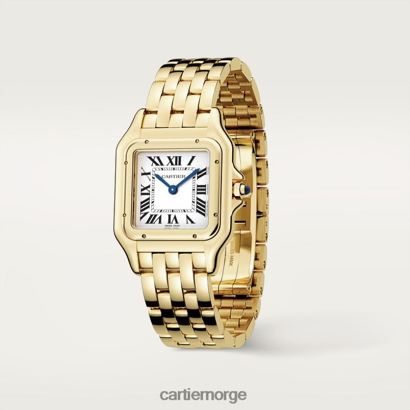 tilbehør Cartier mote panterklokke stilig F4466N831