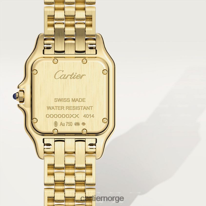 tilbehør Cartier mote panterklokke stilig F4466N831