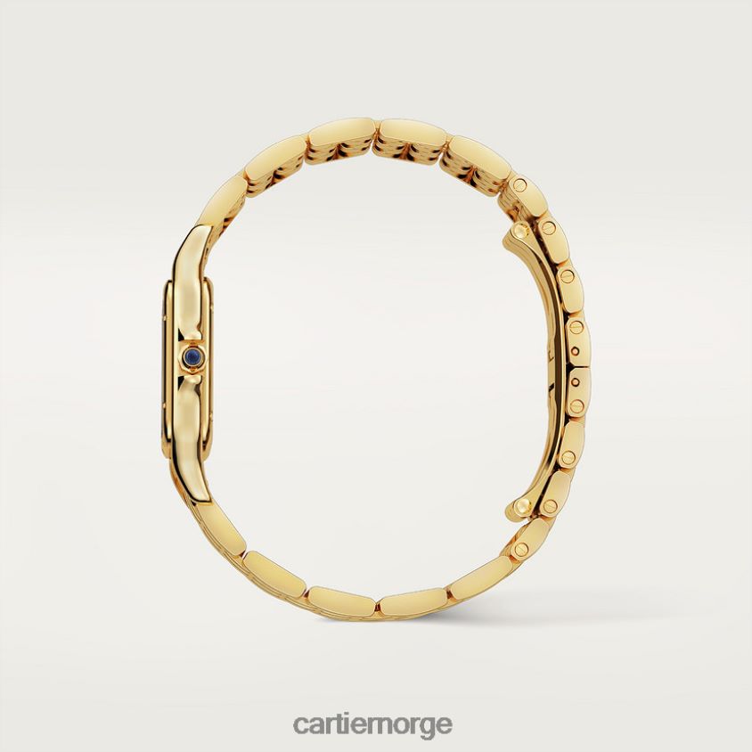 tilbehør Cartier mote panterklokke stilig F4466N831