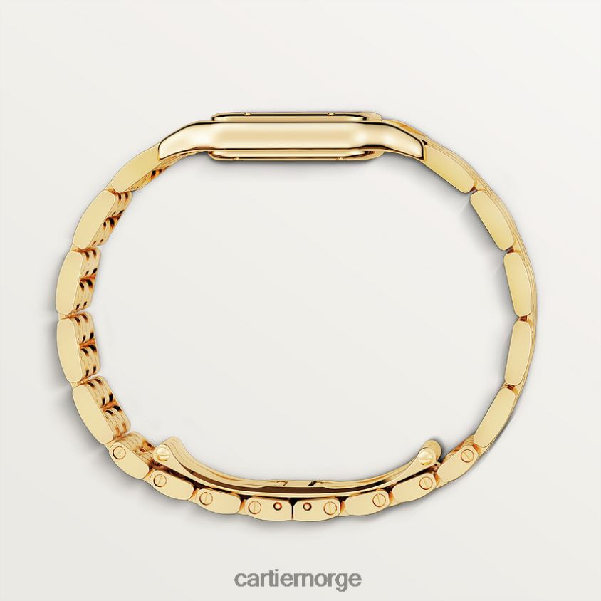 tilbehør Cartier mote panterklokke stilig F4466N831