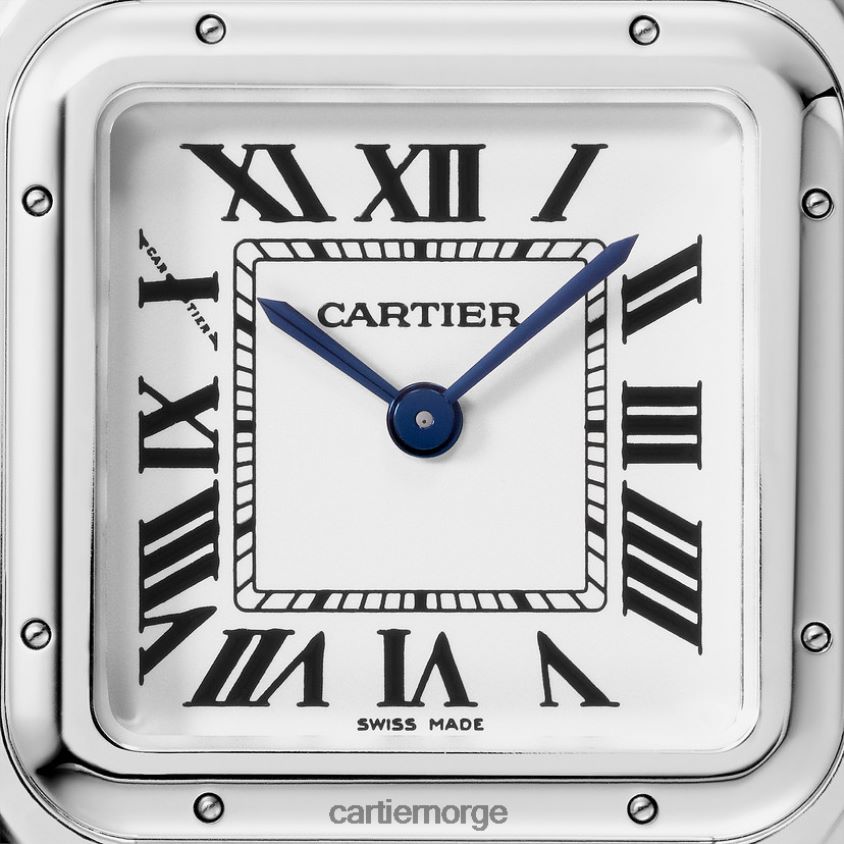 tilbehør Cartier mote panterklokke stilig F4466N833