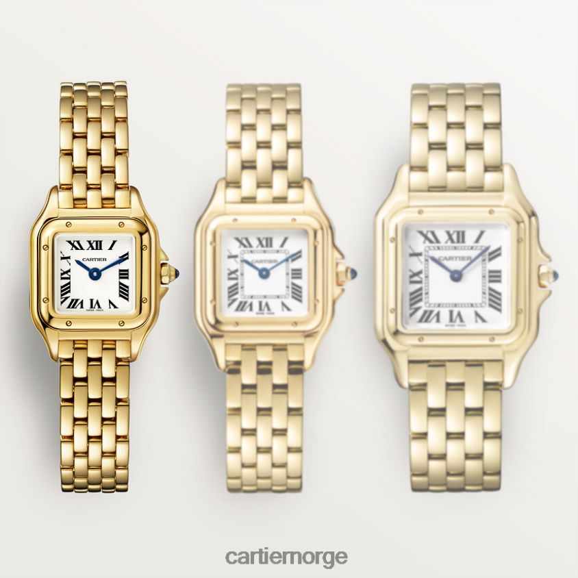 tilbehør Cartier mote panterklokke stilig F4466N837