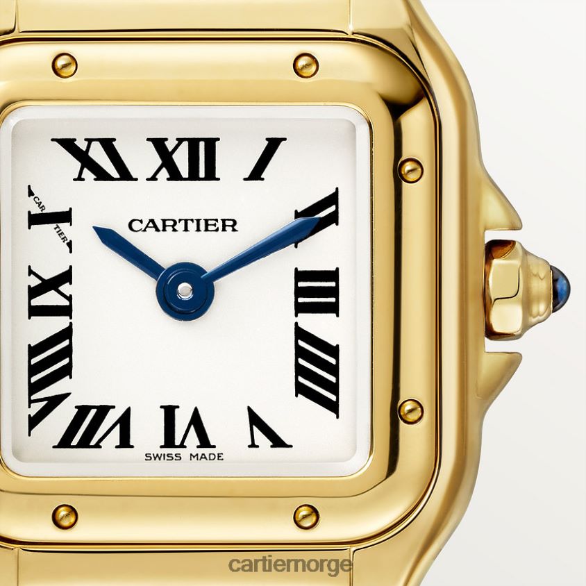 tilbehør Cartier mote panterklokke stilig F4466N837