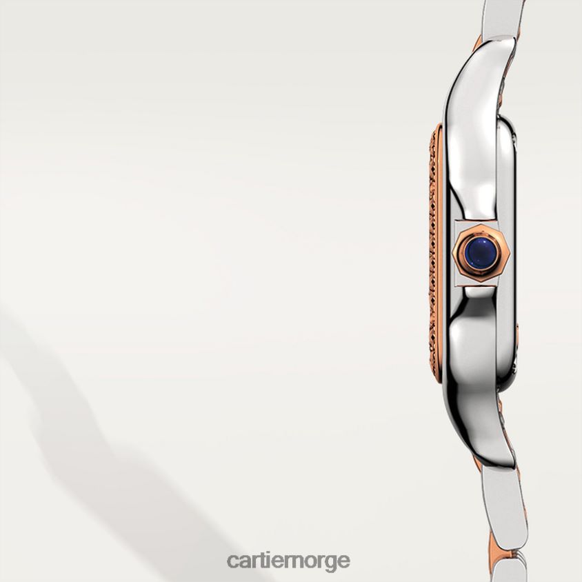 tilbehør Cartier mote panterklokke stilig F4466N838