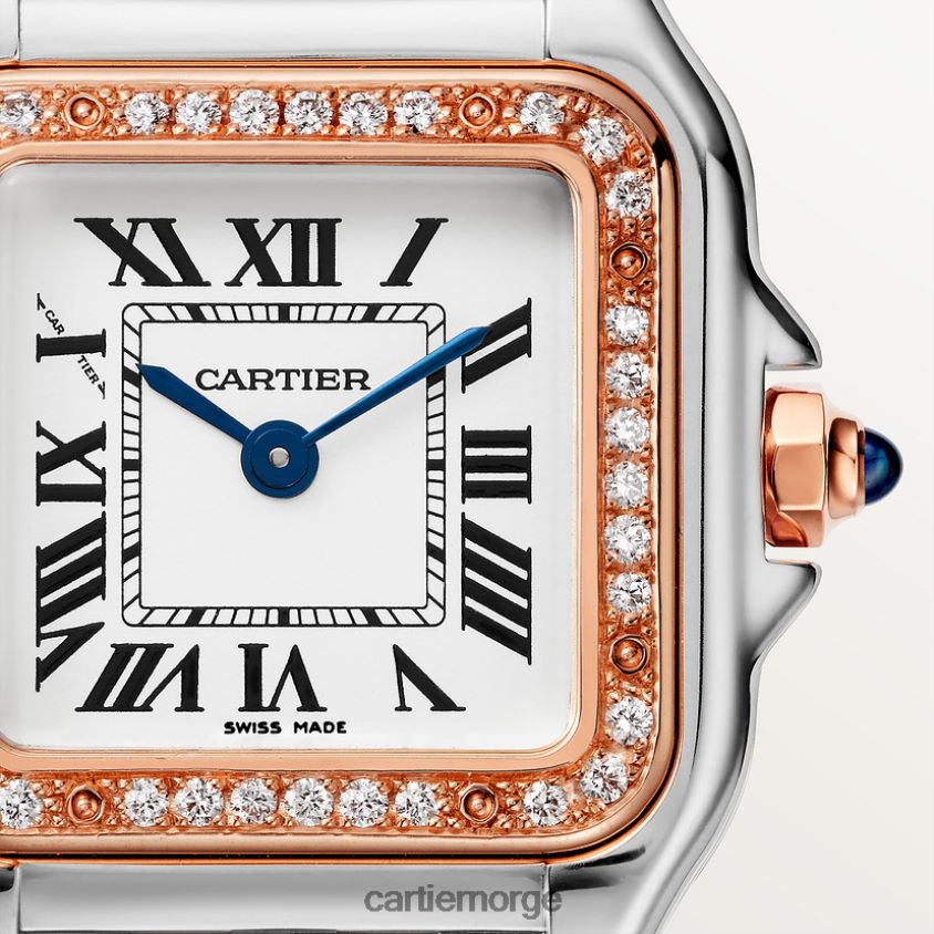 tilbehør Cartier mote panterklokke stilig F4466N838