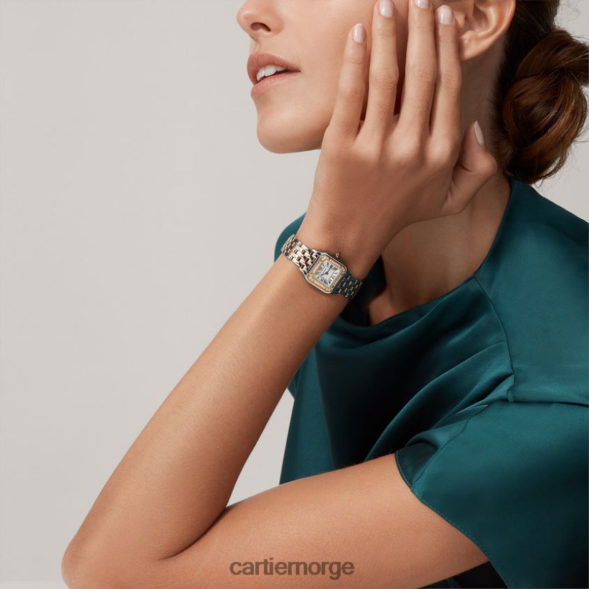 tilbehør Cartier mote panterklokke stilig F4466N838