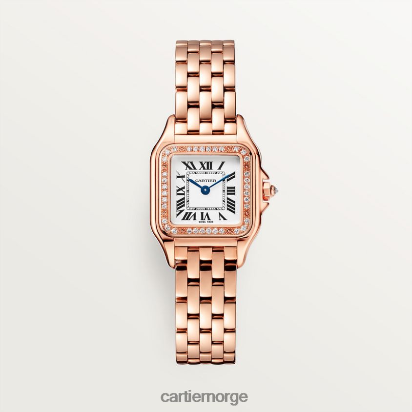 tilbehør Cartier mote panterklokke stilig F4466N839