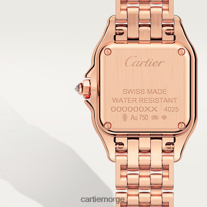 tilbehør Cartier mote panterklokke stilig F4466N839