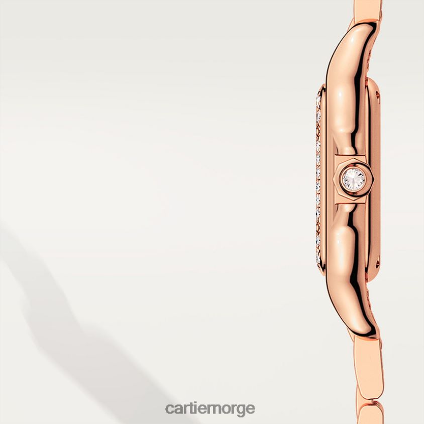 tilbehør Cartier mote panterklokke stilig F4466N839