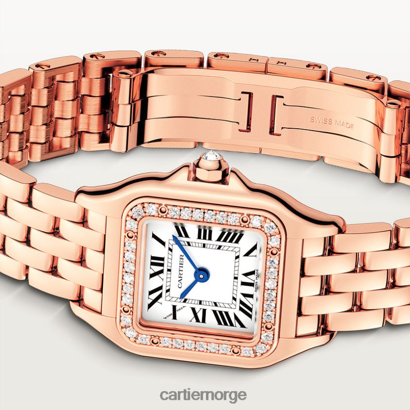 tilbehør Cartier mote panterklokke stilig F4466N839