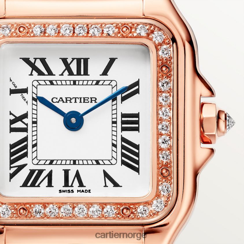 tilbehør Cartier mote panterklokke stilig F4466N839