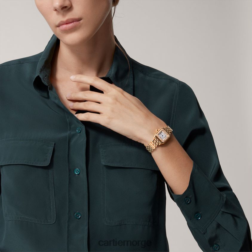 tilbehør Cartier mote panterklokke stilig F4466N839