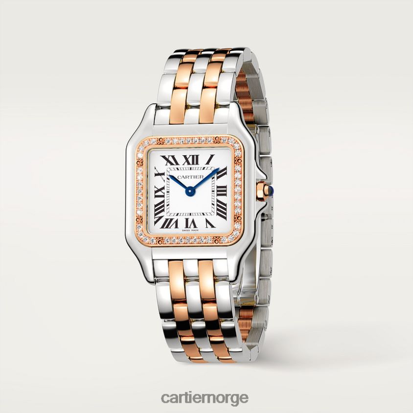 tilbehør Cartier mote panterklokke stilig F4466N840