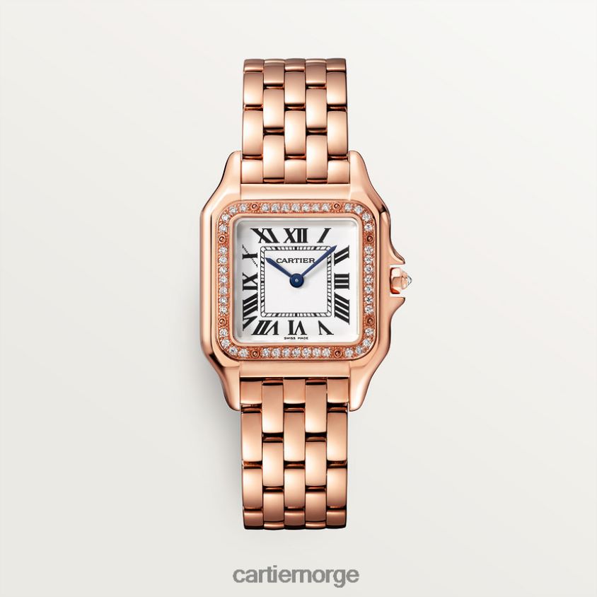 tilbehør Cartier mote panterklokke stilig F4466N841