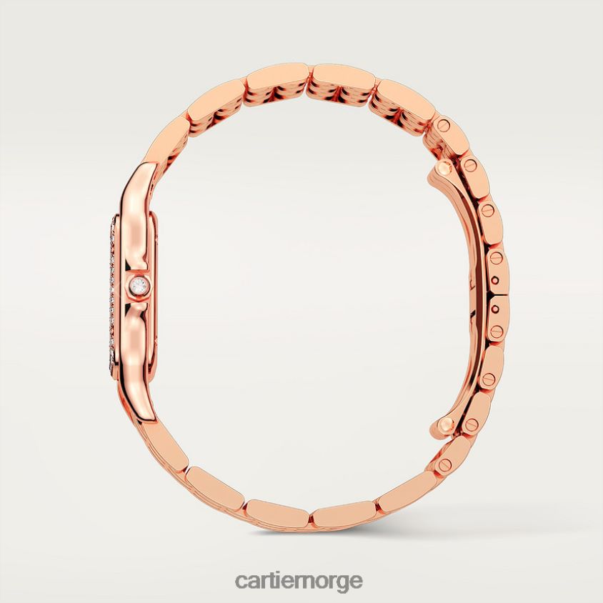 tilbehør Cartier mote panterklokke stilig F4466N841