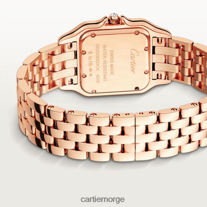 tilbehør Cartier mote panterklokke stilig F4466N841
