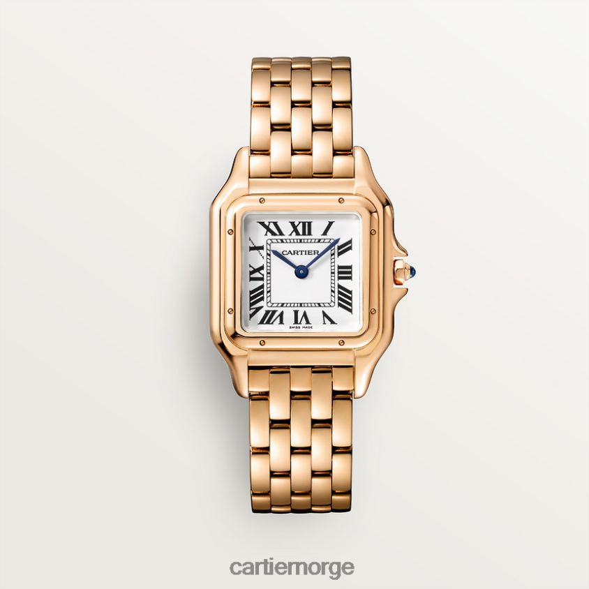 tilbehør Cartier mote panterklokke stilig F4466N842