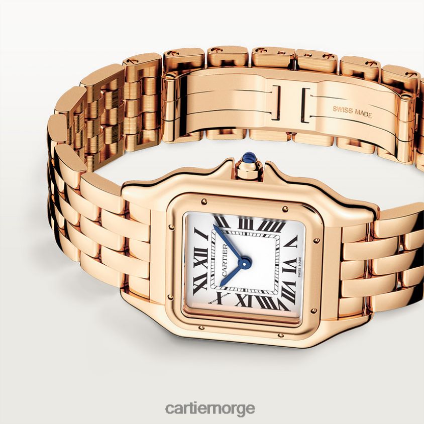 tilbehør Cartier mote panterklokke stilig F4466N842