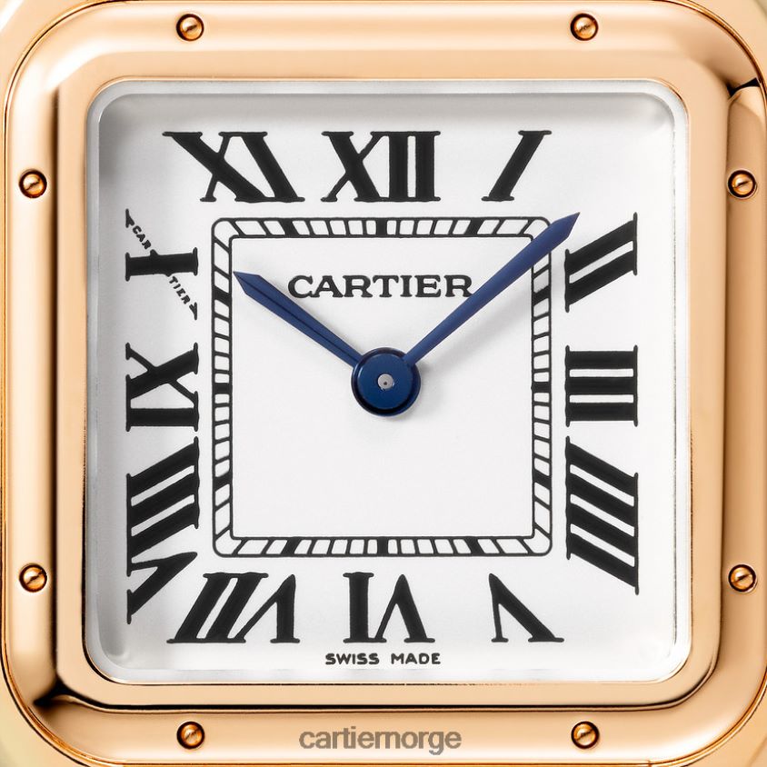 tilbehør Cartier mote panterklokke stilig F4466N842