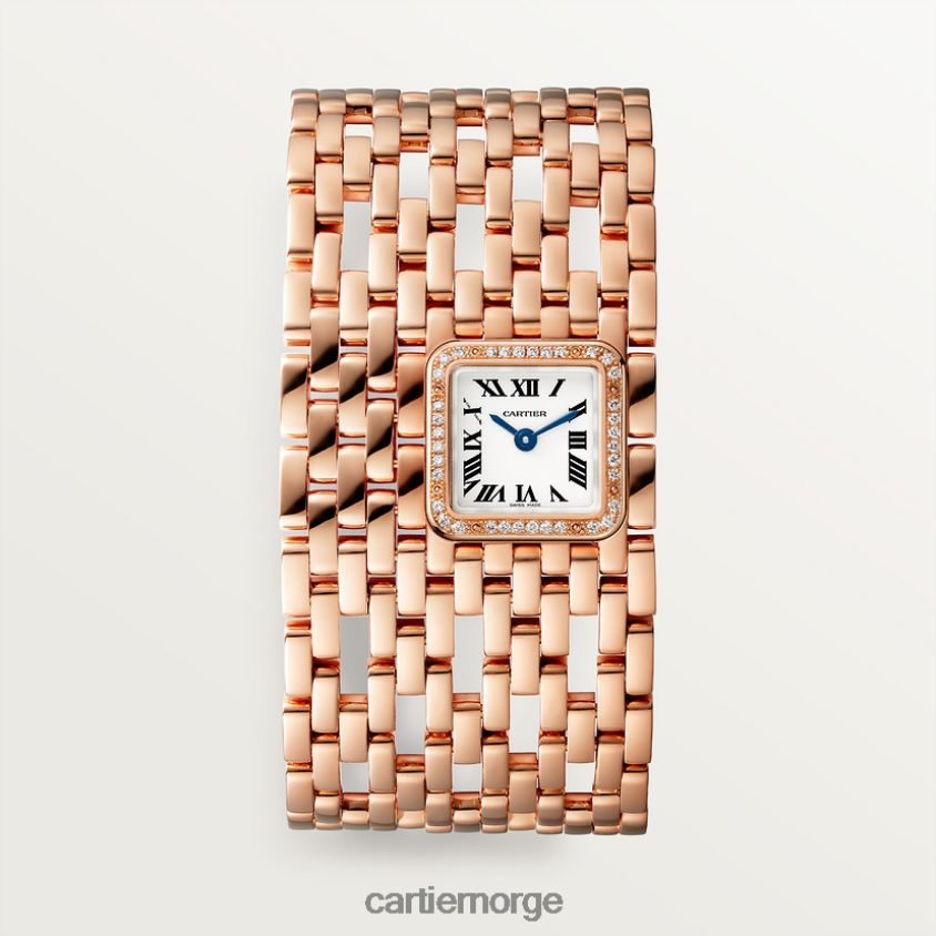 tilbehør Cartier mote panterklokke stilig F4466N844