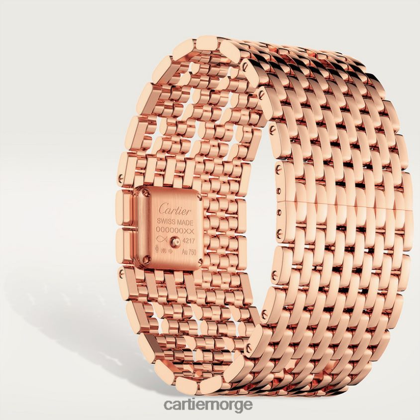 tilbehør Cartier mote panterklokke stilig F4466N844