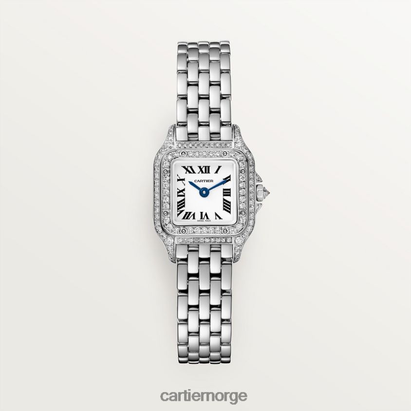 tilbehør Cartier panterklokke stilig F4466N845