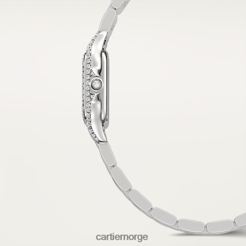 tilbehør Cartier panterklokke stilig F4466N845