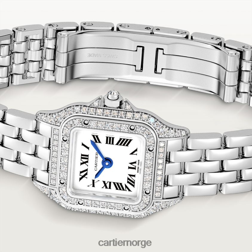 tilbehør Cartier panterklokke stilig F4466N845