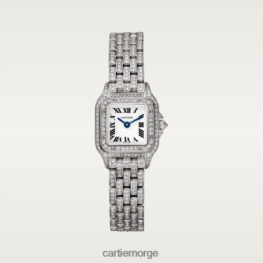 tilbehør Cartier panterklokke stilig F4466N846