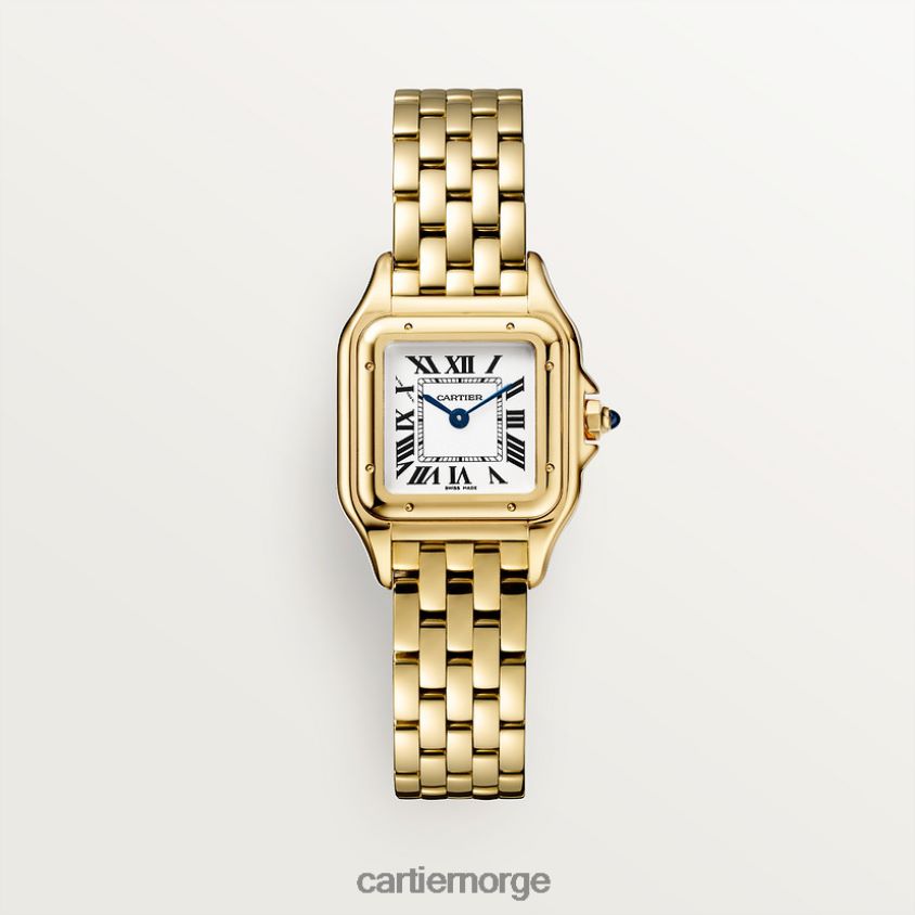 tilbehør Cartier panterklokke stilig F4466N847