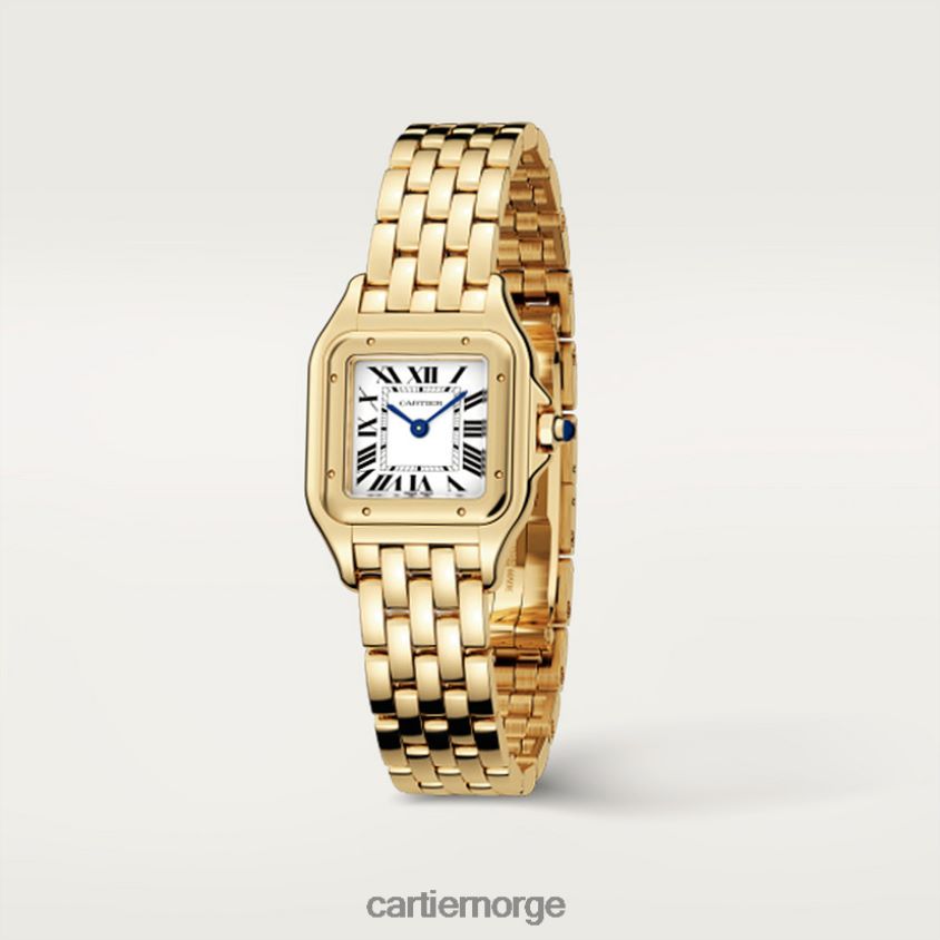 tilbehør Cartier panterklokke stilig F4466N847