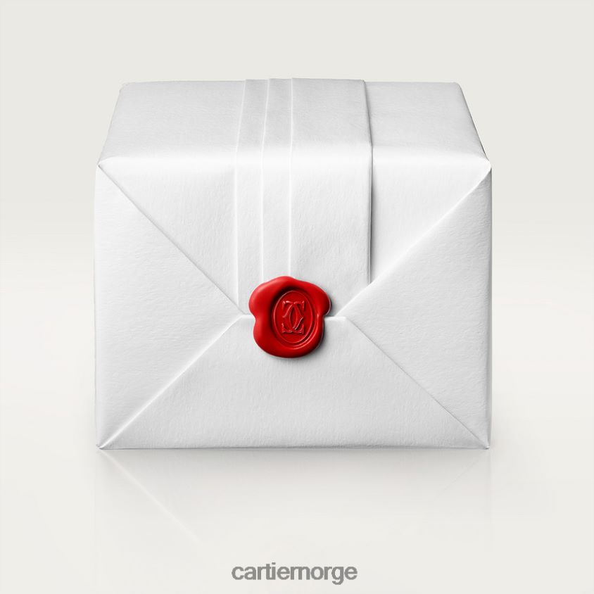 tilbehør Cartier panterklokke stilig F4466N847