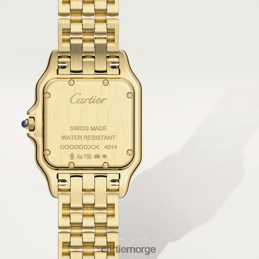 tilbehør Cartier panterklokke stilig F4466N847