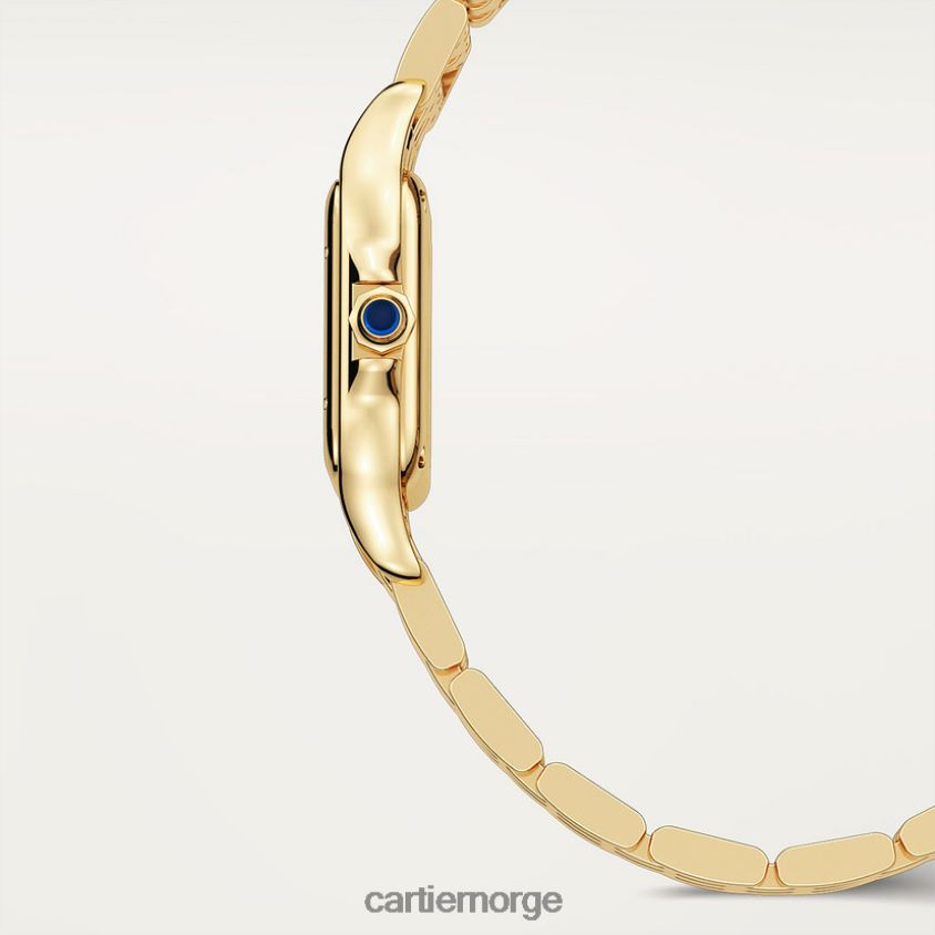 tilbehør Cartier panterklokke stilig F4466N847