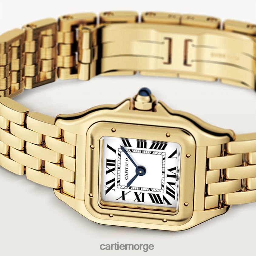 tilbehør Cartier panterklokke stilig F4466N847