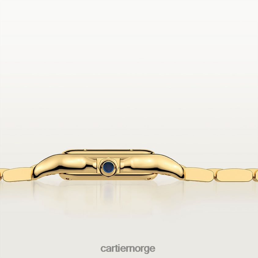 tilbehør Cartier panterklokke stilig F4466N847