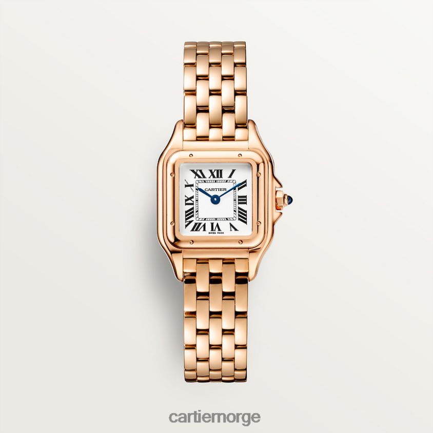 tilbehør Cartier panterklokke stilig F4466N848