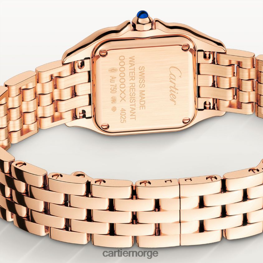 tilbehør Cartier panterklokke stilig F4466N848