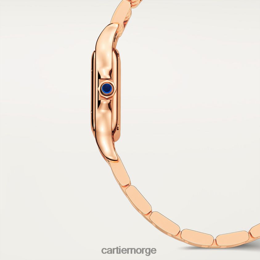 tilbehør Cartier panterklokke stilig F4466N848