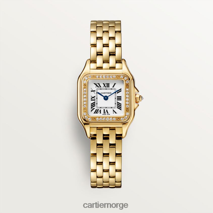 tilbehør Cartier panterklokke stilig F4466N849