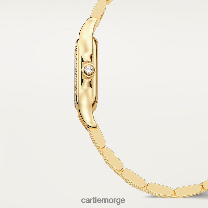 tilbehør Cartier panterklokke stilig F4466N849