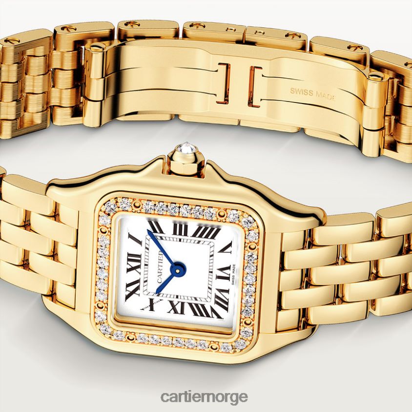 tilbehør Cartier panterklokke stilig F4466N849