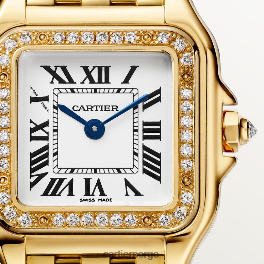 tilbehør Cartier panterklokke stilig F4466N849