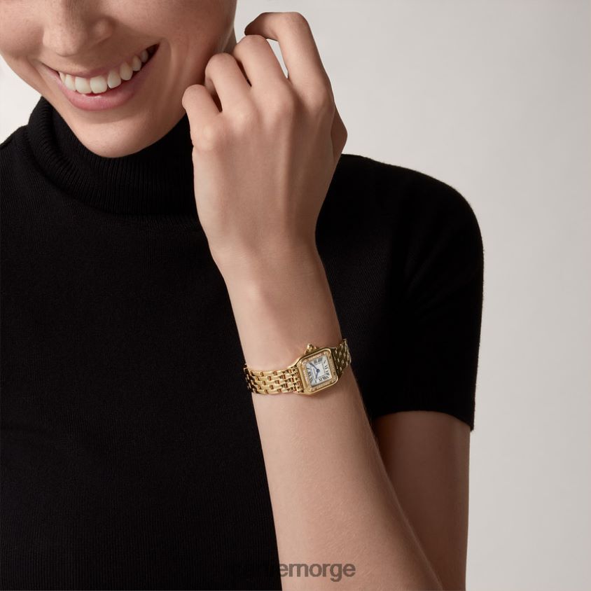 tilbehør Cartier panterklokke stilig F4466N849